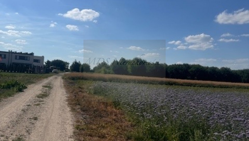 Działka Sprzedaż Nowa Wola Ignacego Krasickiego