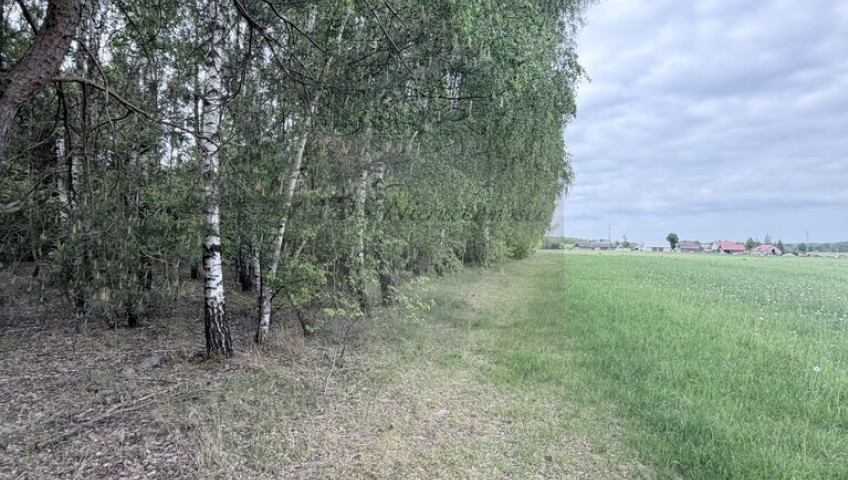 Działka Sprzedaż Poręba-Kocęby