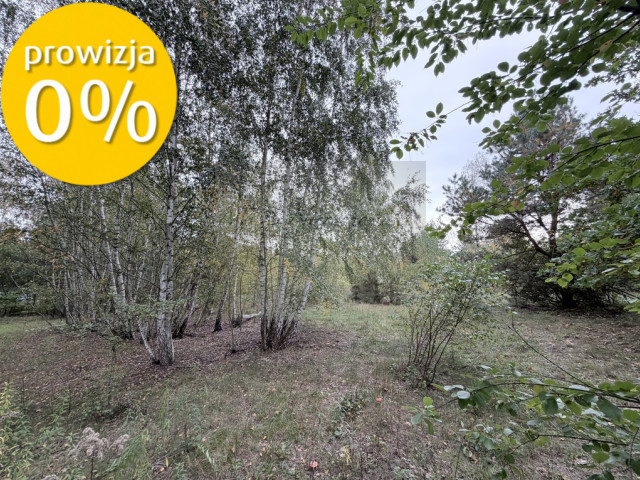 siedlisko 1,8 ha, dom, las, 5 min do stacji PKP Czachówek